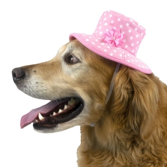 New VIBRANT Life dogs Bucket Hat size M/L - Picture 1 of 7